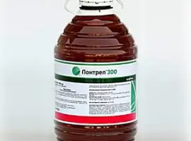 Зображення для оголошення Гербицид лонтрел 300