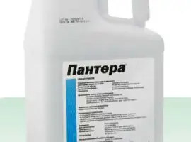 Зображення для оголошення Гербицид пантера