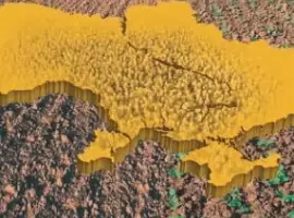 Зображення для оголошення Бутизан авант по рипаку