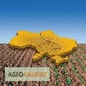 Зображення для оголошення Гербицид Бутизан Авант аналог галера супер