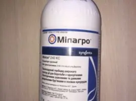 Зображення для оголошення Купить гербицид Милагро