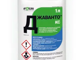 Зображення для оголошення Джаванто