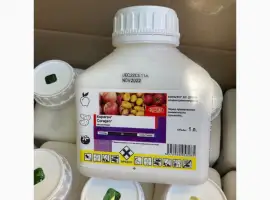 Зображення для оголошення Кораген - інсектицид для захисту картоплі