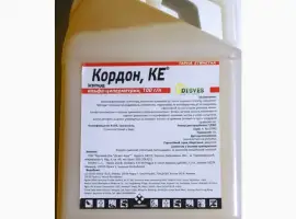 Зображення для оголошення Кордон
