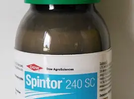 Зображення для оголошення Spintor 240sc (Спинтор) 0