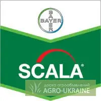 Зображення для оголошення Фунгицид скала