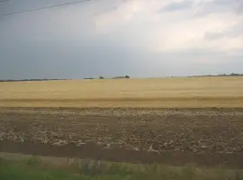 Зображення для оголошення Викуплю ваші препарати Гербіциди Фунгіциди