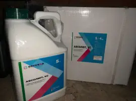 Зображення для оголошення Абсолют - фунгіцид проти грибкових захворювань с/г культур