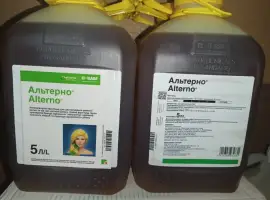 Зображення для оголошення Альтерно - надійний контроль хвороб та підвищення врожайності ріпаку