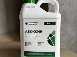 Зображення для оголошення Азоксин - фунгіцид проти ключових хвороб зернових і олійних культур