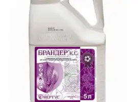 Зображення для оголошення Брандер - фунгіцидний зaxиcт зepнoвиx культуp