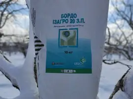 Зображення для оголошення Бордо Ізагро - фунгіцид для захисту садів і виноградників від спектру хвороб