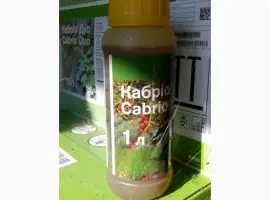 Зображення для оголошення Кабріо Дуо - фунгіцид для овочевих культур
