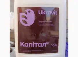 Зображення для оголошення Капітал - профілактичний