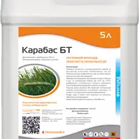 Зображення для оголошення Карабас