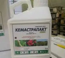 Зображення для оголошення Кемастрапакт - для профілактики та лікування буряку