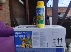 Зображення для оголошення Орвего - локально-системний фунгіцид для захисту овочів тавинограду від комплексу хвороб