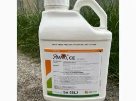Зображення для оголошення ЯМАТО