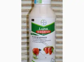 Зображення для оголошення Luna Sensation 500 SC (Луна Сенсейшн) 1л - фунгицид широкого спектра действия (Польша)