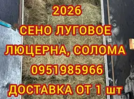 Зображення для оголошення Сено в тюках для лошадей