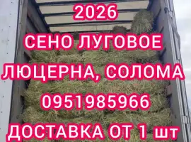 Зображення для оголошення Хозяйство предлагает сено луговое