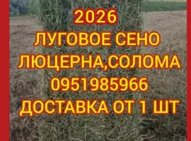Зображення для оголошення Сено / солома в тюках. Доставка. Отличное качество