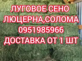 Зображення для оголошення Б.н. расчёт