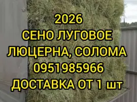 Зображення для оголошення СЕНО различных видов. Доставка. Объёмы. Есть безналичный расчёт
