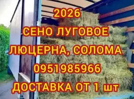 Зображення для оголошення Луговое сено. Люцерна в тюках. Доставка. Б/н
