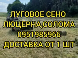 Зображення для оголошення Сено луговое