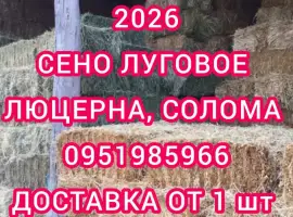 Зображення для оголошення Продам ЛУГОВОЕ сено и ЛЮЦЕРНУ в тюках с доставкой по Украине