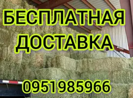 Зображення для оголошення В наличии 300 тонн сена люцерны. Бесплатная доставка