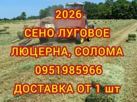 Зображення для оголошення В наличии 300 тонн сена. Доставка по Украине