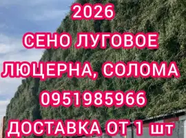 Зображення для оголошення Продам сено люцерны