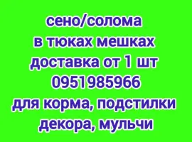 Зображення для оголошення На подстилку собакам в будку сено солома в тюках мешках, доставка от 1 шт, сіно для корма