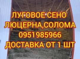 Зображення для оголошення Продажа сена для лошадей
