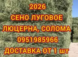 Зображення для оголошення Оптовая/поштучная продажа лугового сена