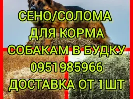 Зображення для оголошення Сено солома в тюках мешках для корма, на подстилку, декора