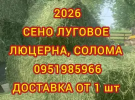 Зображення для оголошення Сено в тюках мешках