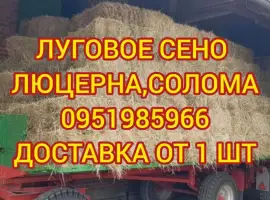 Зображення для оголошення Доставка сена лугового