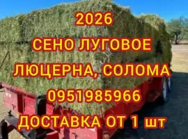 Зображення для оголошення Сено сіно в тюках