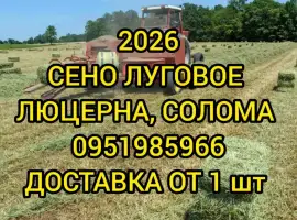 Зображення для оголошення Сено луговое разнотравье