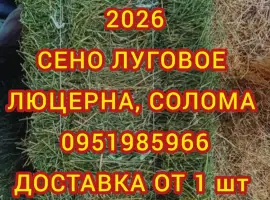 Зображення для оголошення Продажа сена различных видов в тюках мешках. Привоз