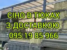 Зображення для оголошення СЕНО в тюках. Большие объёмы. Луговое