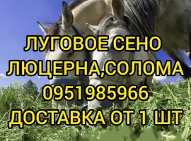 Зображення для оголошення Есть в наличии! Большие объёмы. Сено люцерны