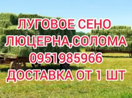 Зображення для оголошення ЛЮЦЕРНА в тюках с доставкой. Есть б.н. Объёмы. Качество