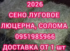 Зображення для оголошення Сено люцерны в тюках. доставка по Украине. Объёмы