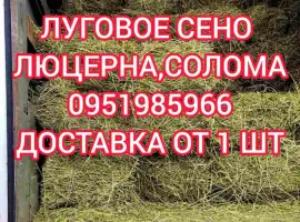Зображення для оголошення Сено люцерны