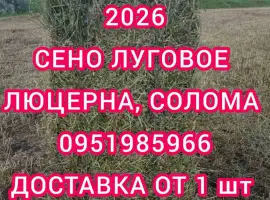 Зображення для оголошення Люцерна в тюках