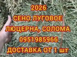 Зображення для оголошення Сено луговое